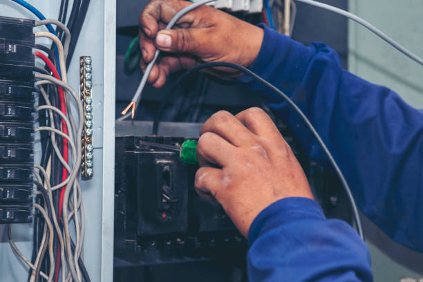 Best Electric Panel Repair  in Azalea Park, FL